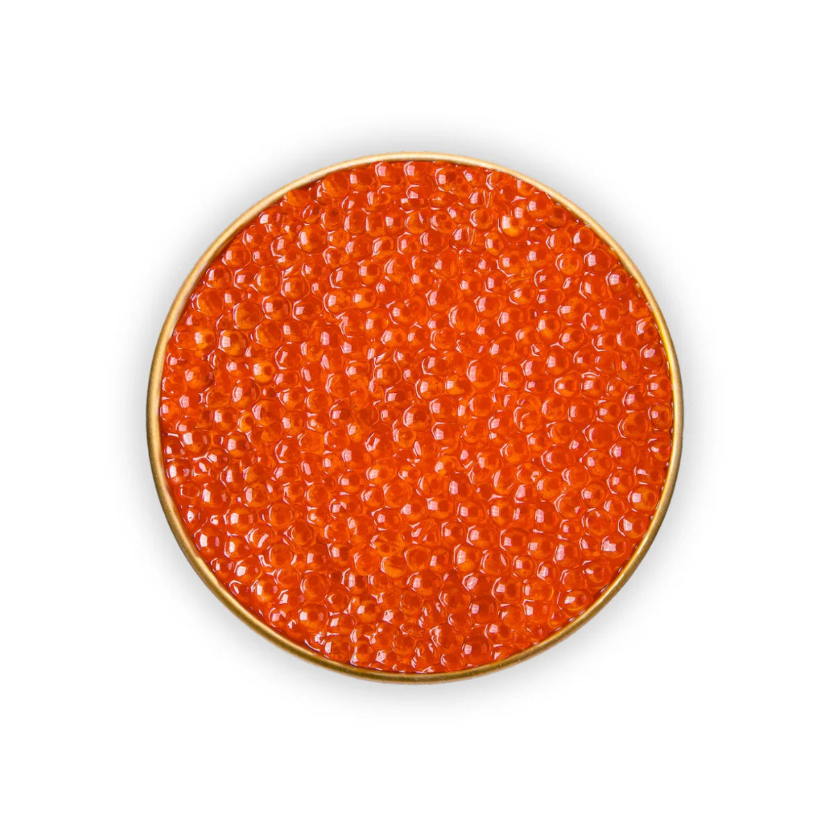 Trout Roe